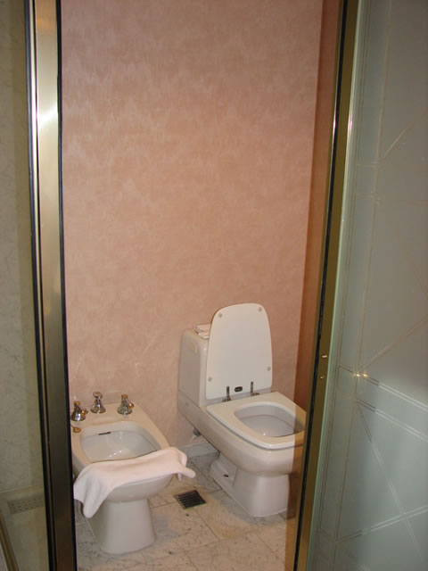 Another Bathroom shot