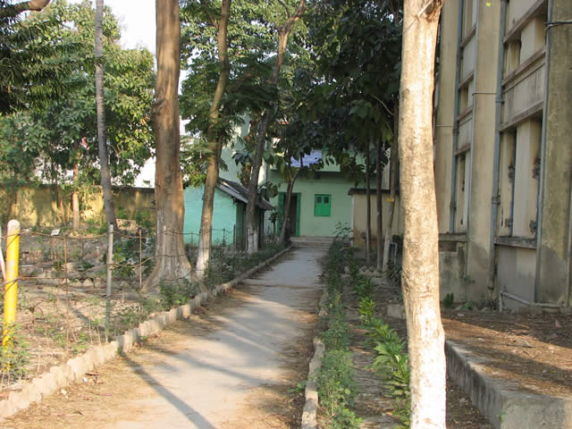 University Buildings