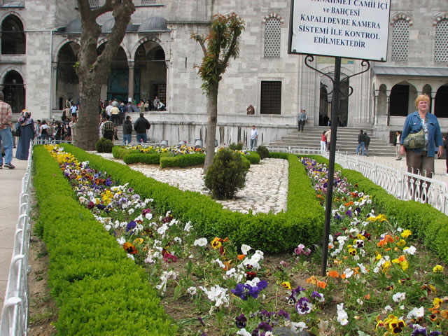 Blue Mosque Garden
